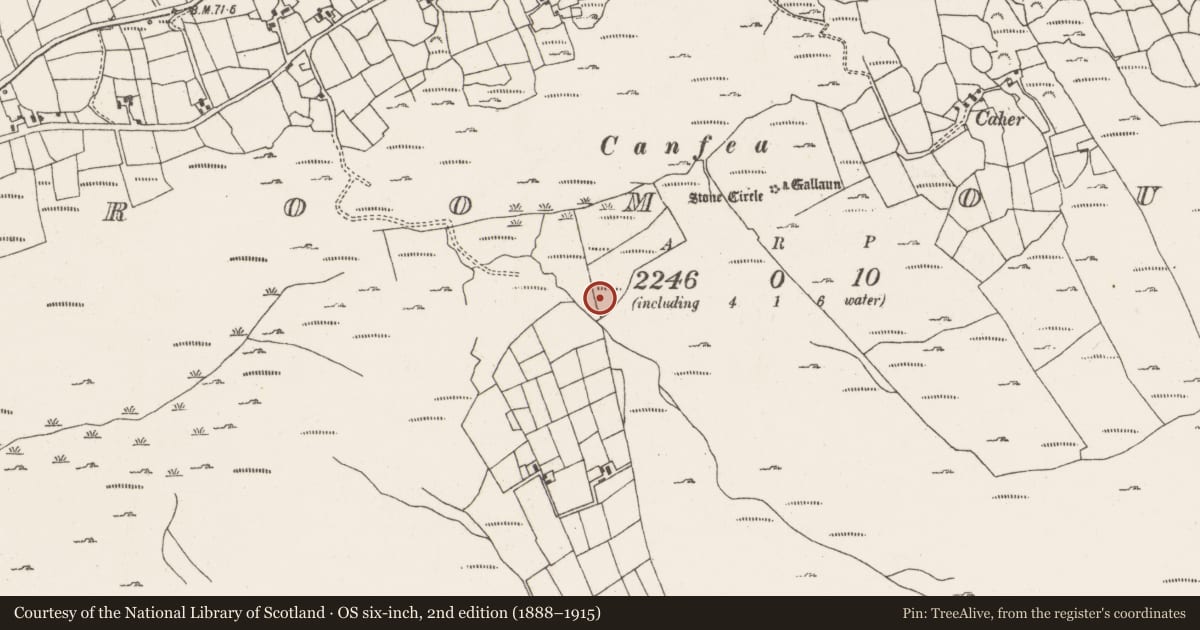 Ordnance Survey six-inch map, 2nd edition (1888–1915) covering the location of Enclosure, Ardgroom Outward, County Cork, with a pin at the register's coordinates