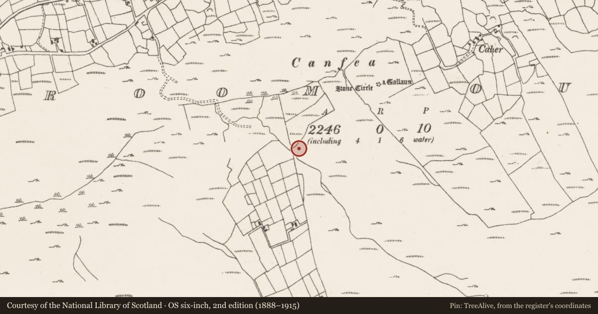 Ordnance Survey six-inch map, 2nd edition (1888–1915) covering the location of Field boundary, Ardgroom Outward, County Cork, with a pin at the register's coordinates