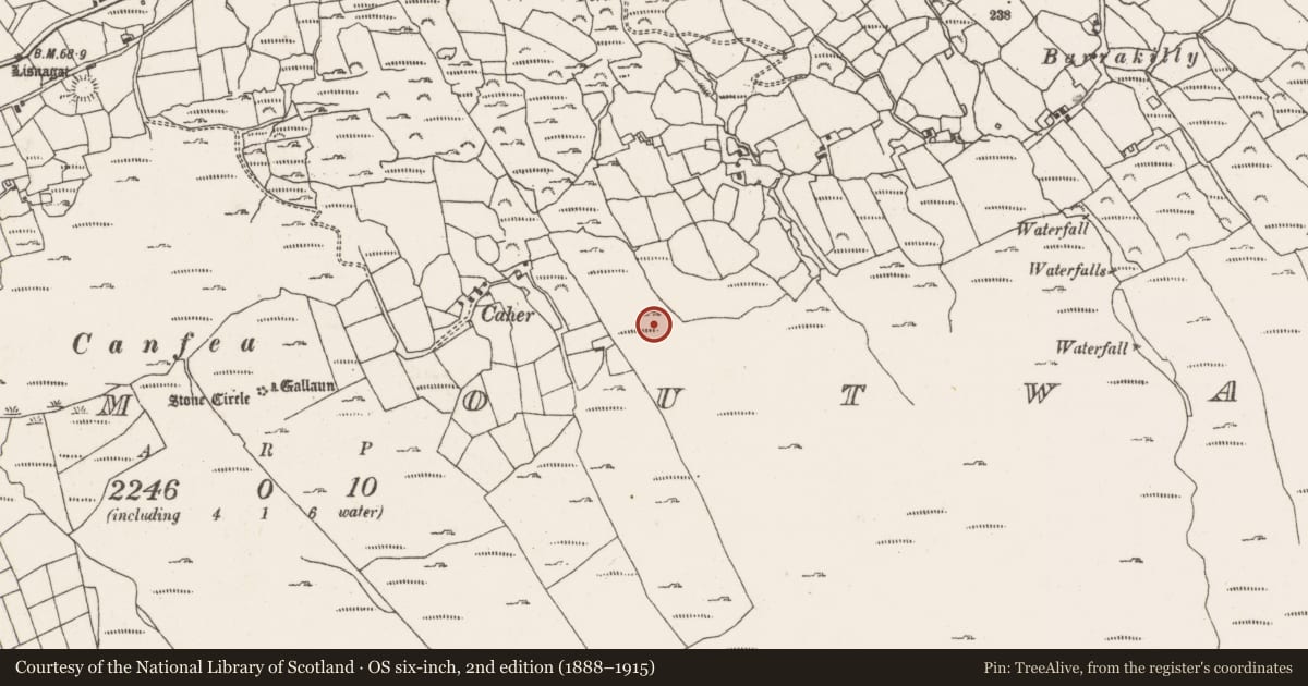 Ordnance Survey six-inch map, 2nd edition (1888–1915) covering the location of Standing stone, Ardgroom Outward, County Cork, with a pin at the register's coordinates