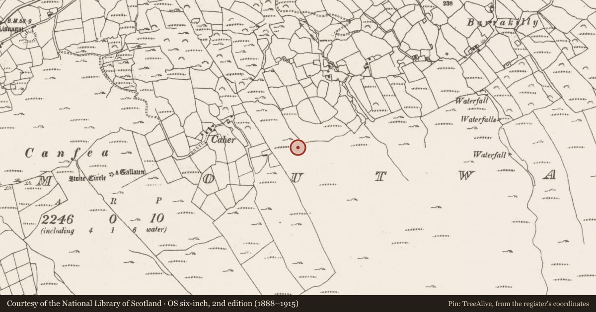 Ordnance Survey six-inch map, 2nd edition (1888–1915) covering the location of Burnt mound, Ardgroom Outward, County Cork, with a pin at the register's coordinates