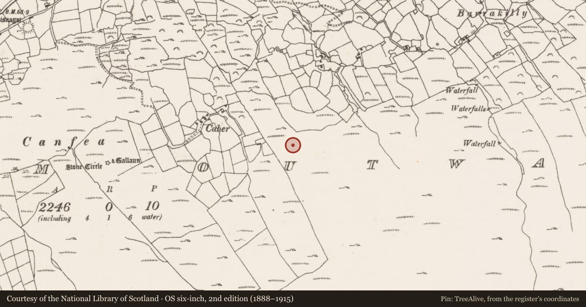 Ordnance Survey six-inch map, 2nd edition (1888–1915) covering the location of Field boundary, Ardgroom Outward, County Cork, with a pin at the register's coordinates
