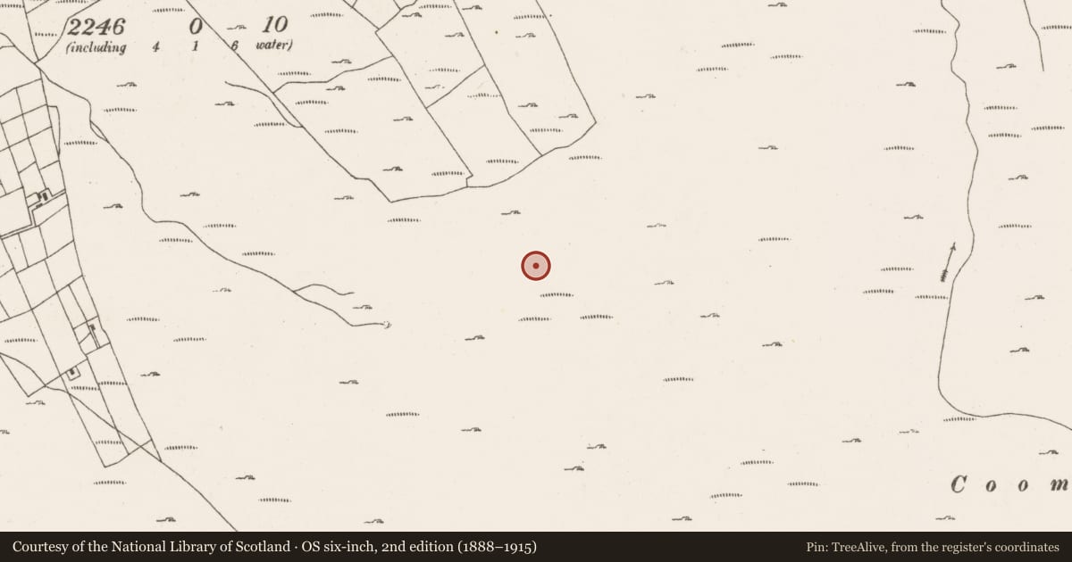 Ordnance Survey six-inch map, 2nd edition (1888–1915) covering the location of Hut site, Ardgroom Outward, County Cork, with a pin at the register's coordinates