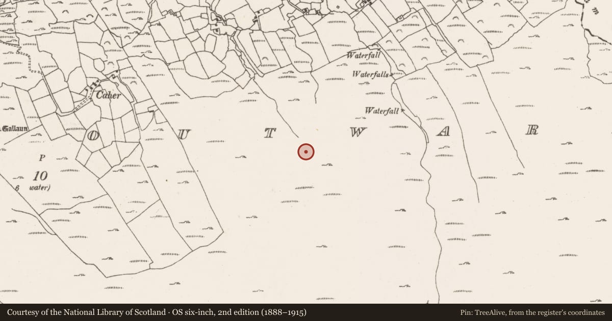 Ordnance Survey six-inch map, 2nd edition (1888–1915) covering the location of Standing stone, Ardgroom Outward, County Cork, with a pin at the register's coordinates