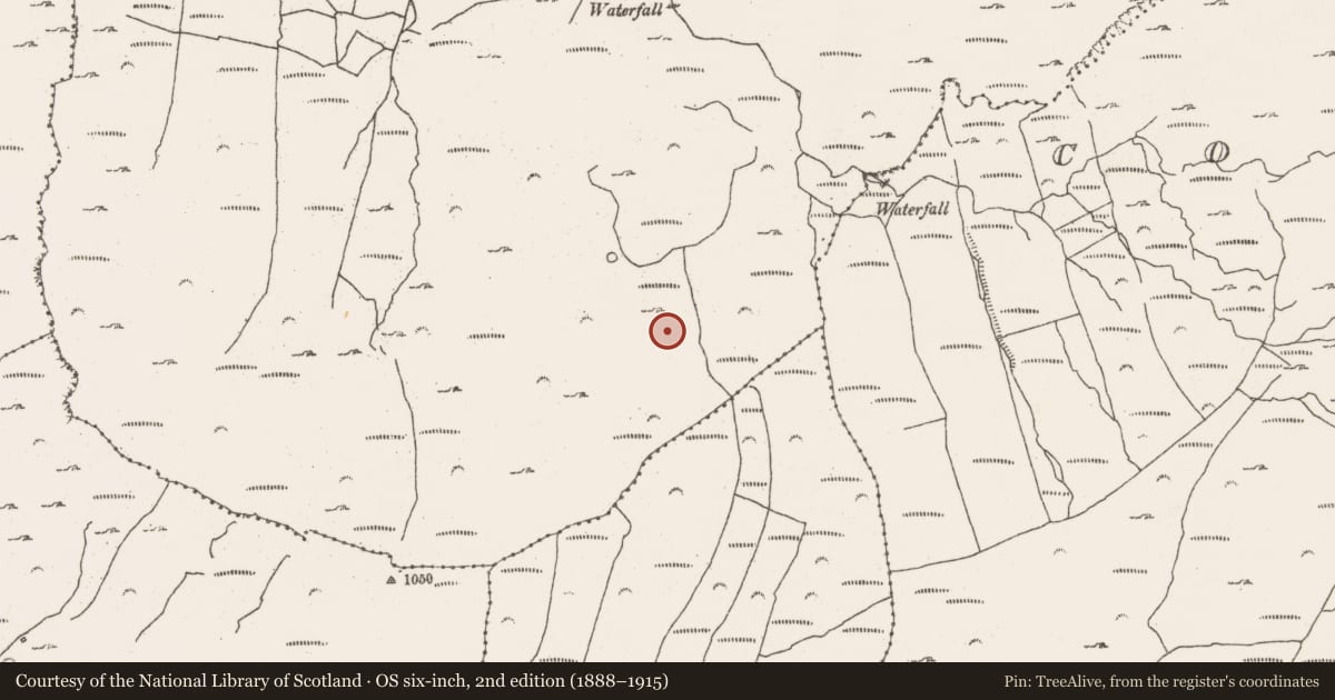 Ordnance Survey six-inch map, 2nd edition (1888–1915) covering the location of Field boundary, Barrees, Bawnard, County Cork, with a pin at the register's coordinates