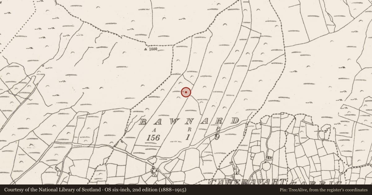 Ordnance Survey six-inch map, 2nd edition (1888–1915) covering the location of Field boundary, Bawnard, County Cork, with a pin at the register's coordinates