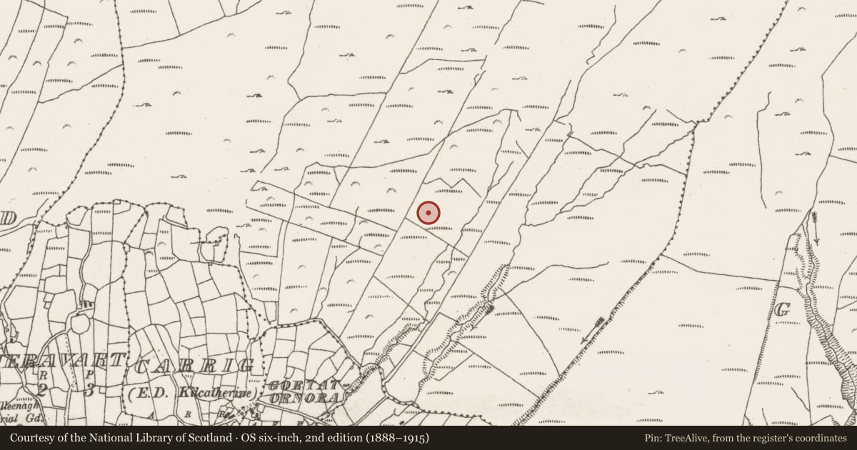 Ordnance Survey six-inch map, 2nd edition (1888–1915) covering the location of Hut site, Commons East, County Cork, with a pin at the register's coordinates