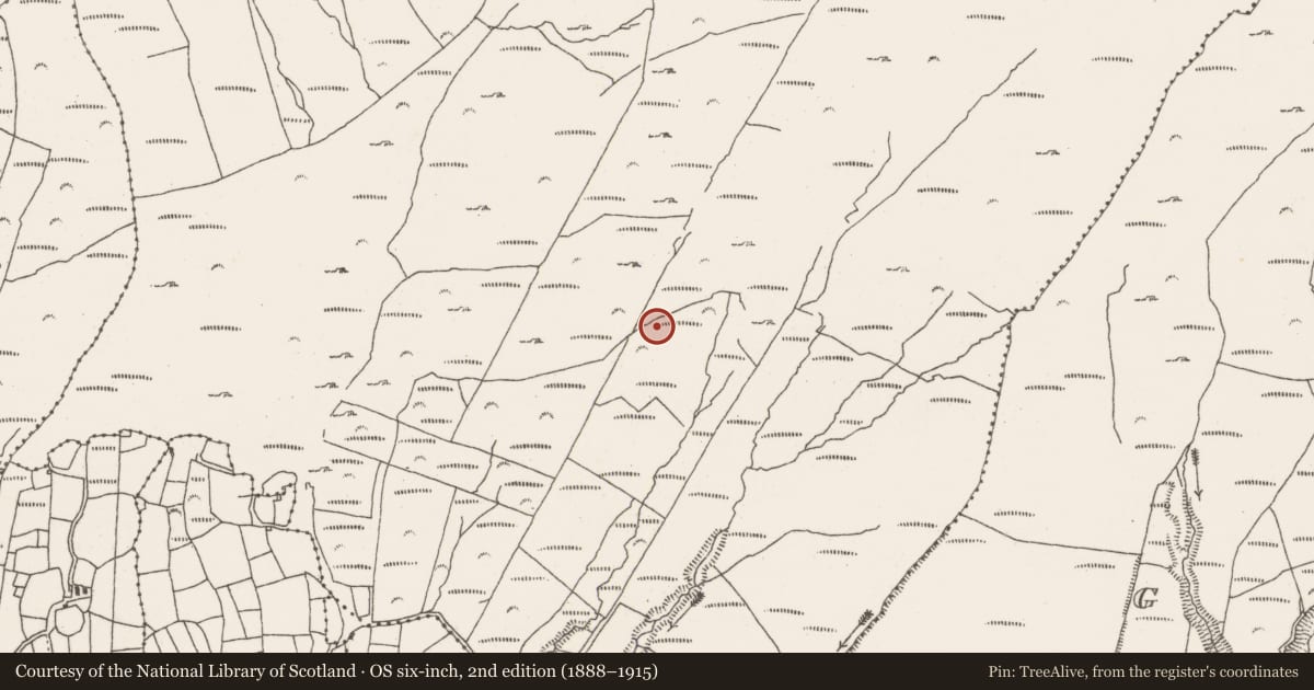Ordnance Survey six-inch map, 2nd edition (1888–1915) covering the location of Field boundary, Commons East, County Cork, with a pin at the register's coordinates