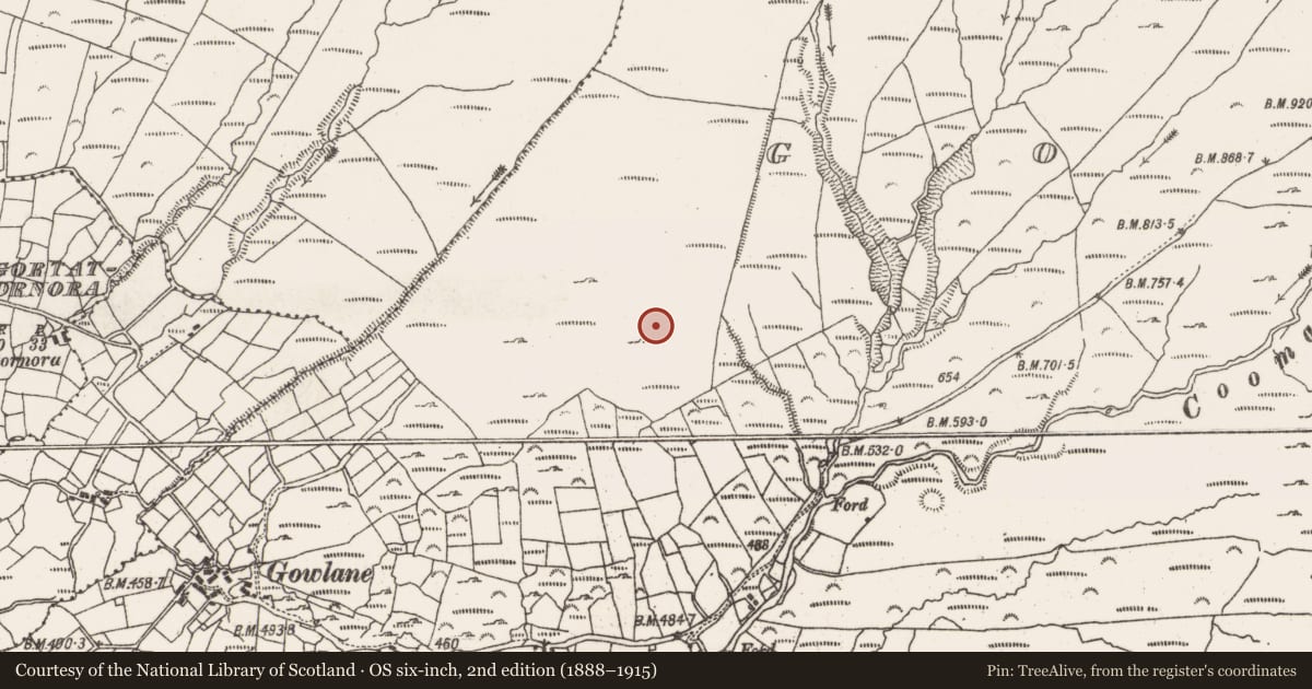 Ordnance Survey six-inch map, 2nd edition (1888–1915) covering the location of Field boundary, Gowlane, County Cork, with a pin at the register's coordinates