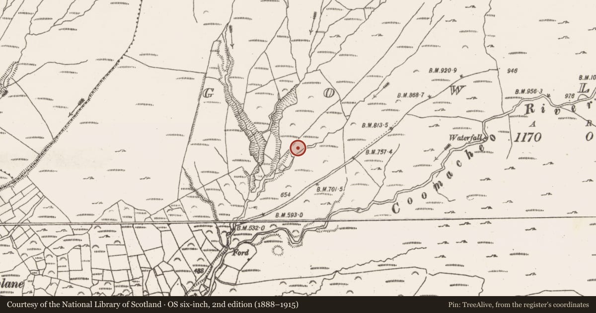 Ordnance Survey six-inch map, 2nd edition (1888–1915) covering the location of Hut site, Gowlane, County Cork, with a pin at the register's coordinates