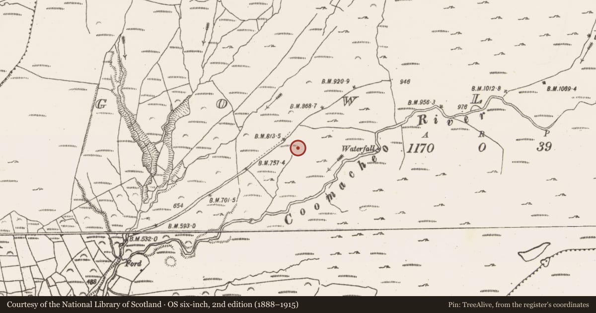 Ordnance Survey six-inch map, 2nd edition (1888–1915) covering the location of Field boundary, Gowlane, County Cork, with a pin at the register's coordinates