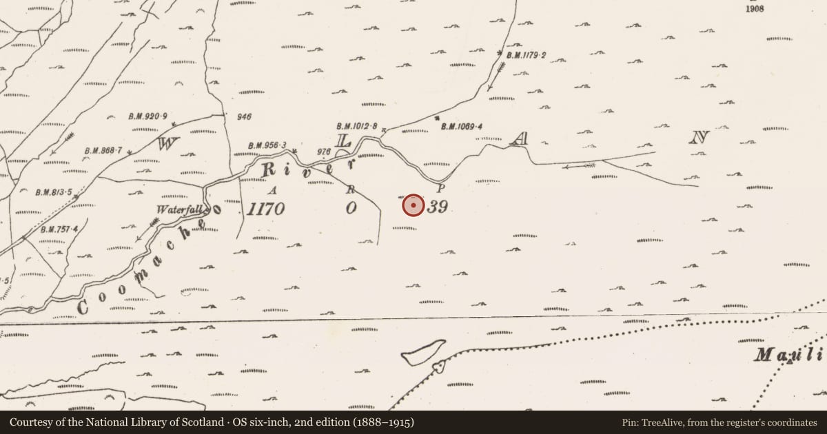 Ordnance Survey six-inch map, 2nd edition (1888–1915) covering the location of Enclosure, Gowlane, County Cork, with a pin at the register's coordinates