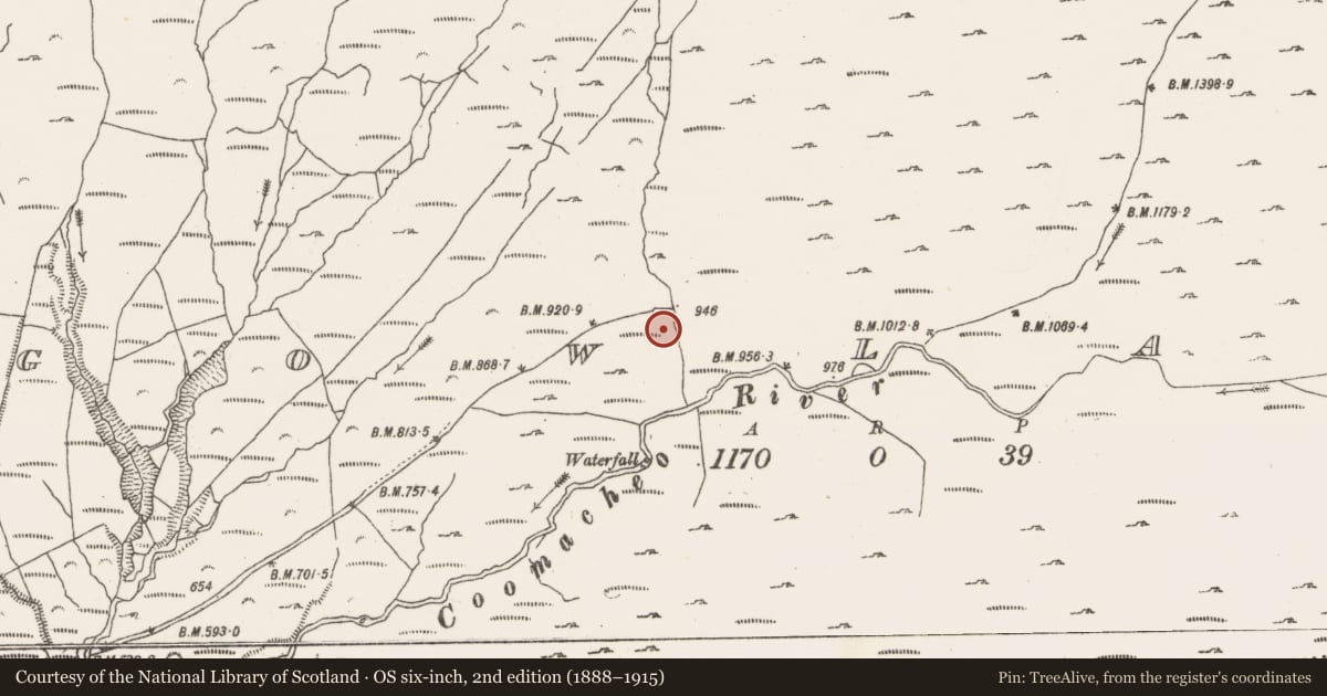 Ordnance Survey six-inch map, 2nd edition (1888–1915) covering the location of Hut site, Gowlane, County Cork, with a pin at the register's coordinates