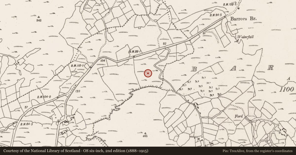 Ordnance Survey six-inch map, 2nd edition (1888–1915) covering the location of Standing stone, Faunkill-And-The-Woods, County Cork, with a pin at the register's coordinates