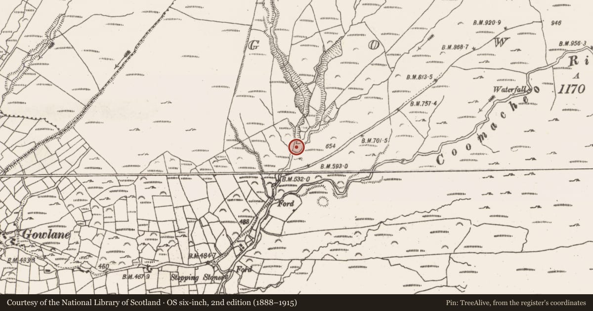 Ordnance Survey six-inch map, 2nd edition (1888–1915) covering the location of Hut site, Gowlane, County Cork, with a pin at the register's coordinates