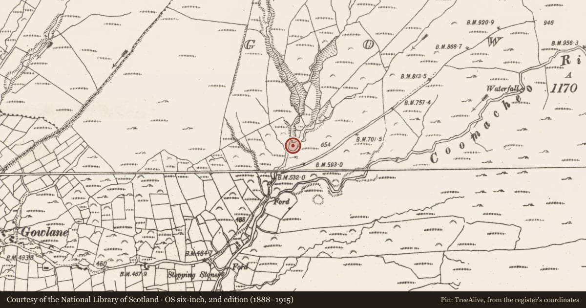 Ordnance Survey six-inch map, 2nd edition (1888–1915) covering the location of Hut site, Gowlane, County Cork, with a pin at the register's coordinates
