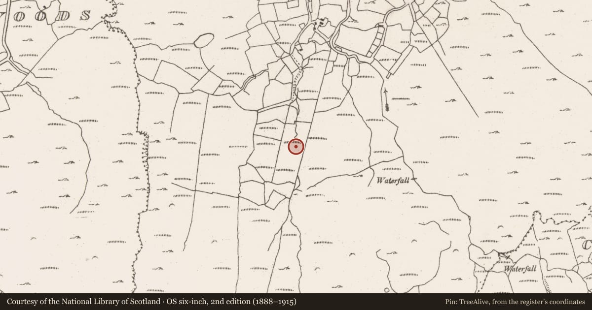 Ordnance Survey six-inch map, 2nd edition (1888–1915) covering the location of Charcoal-making site, Barrees, County Cork, with a pin at the register's coordinates