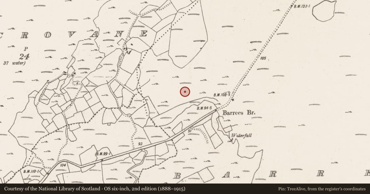 Ordnance Survey six-inch map, 2nd edition (1888–1915) covering the location of Megalithic structure, Barrees, County Cork, with a pin at the register's coordinates
