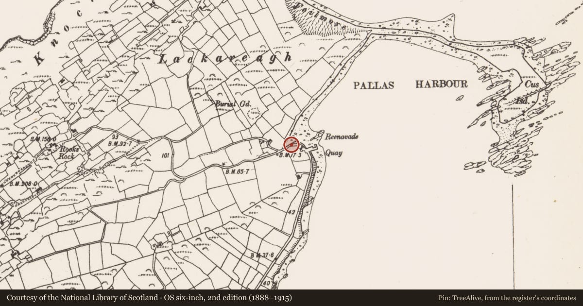 Ordnance Survey six-inch map, 2nd edition (1888–1915) covering the location of Fish palace, Ardgroom Inward, County Cork, with a pin at the register's coordinates