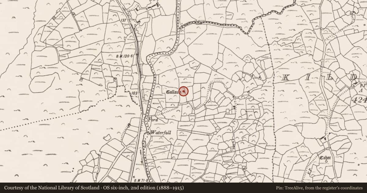 Ordnance Survey six-inch map, 2nd edition (1888–1915) covering the location of Standing stone, Dromgarvan, County Cork, with a pin at the register's coordinates