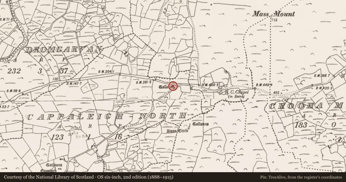 Ordnance Survey six-inch map, 2nd edition (1888–1915) covering the location of Standing stone, Cappaleigh North, County Cork, with a pin at the register's coordinates