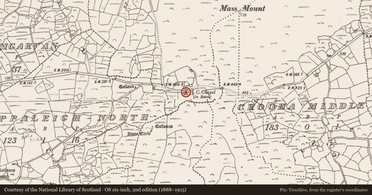 Ordnance Survey six-inch map, 2nd edition (1888–1915) covering the location of Church, Kildromalive, County Cork, with a pin at the register's coordinates