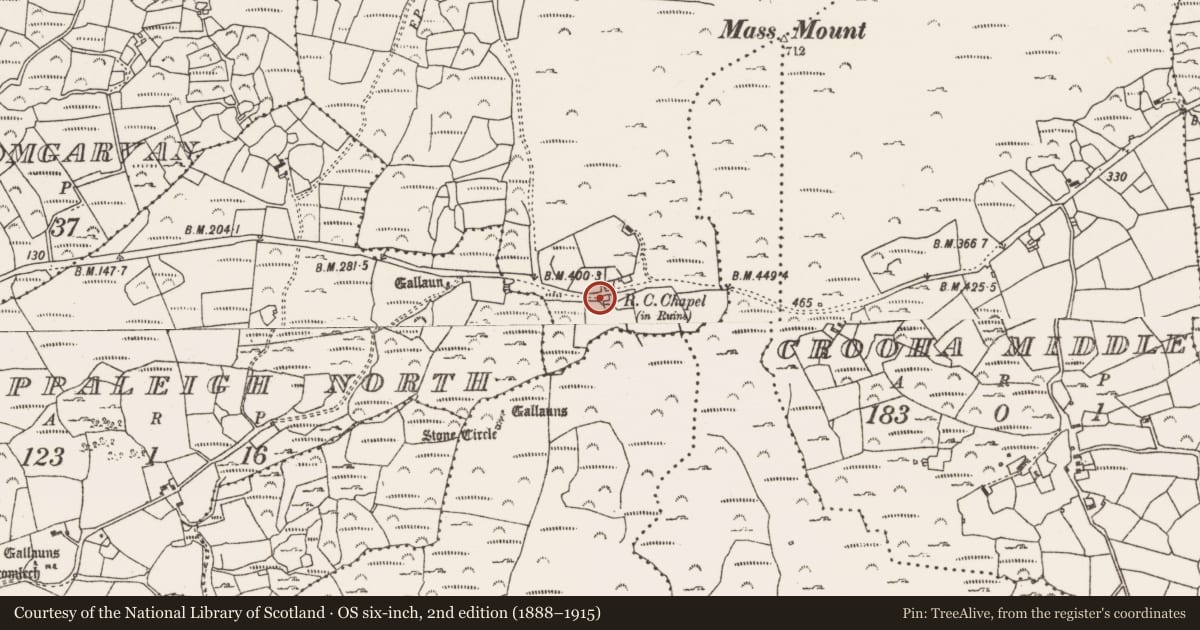 Ordnance Survey six-inch map, 2nd edition (1888–1915) covering the location of Rock art, Kildromalive, County Cork, with a pin at the register's coordinates