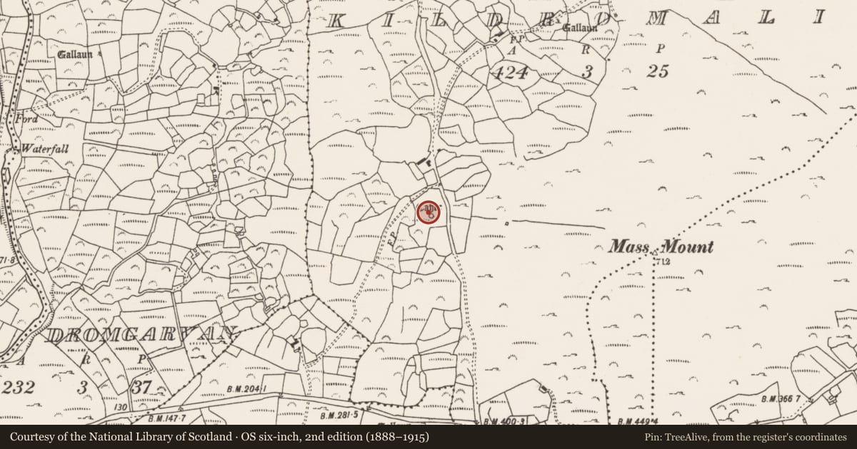 Ordnance Survey six-inch map, 2nd edition (1888–1915) covering the location of Enclosure, Kildromalive, County Cork, with a pin at the register's coordinates