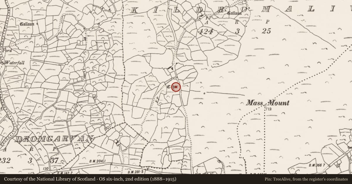 Ordnance Survey six-inch map, 2nd edition (1888–1915) covering the location of Anomalous stone group, Kildromalive, County Cork, with a pin at the register's coordinates