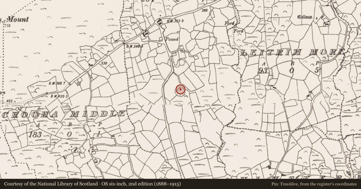 Ordnance Survey six-inch map, 2nd edition (1888–1915) covering the location of Souterrain, Crooha East, County Cork, with a pin at the register's coordinates