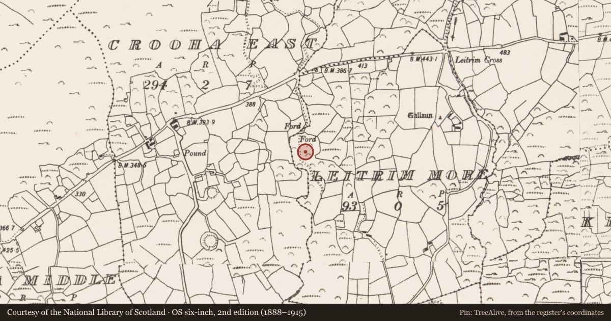Ordnance Survey six-inch map, 2nd edition (1888–1915) covering the location of Anomalous stone group, Leitrim More, County Cork, with a pin at the register's coordinates