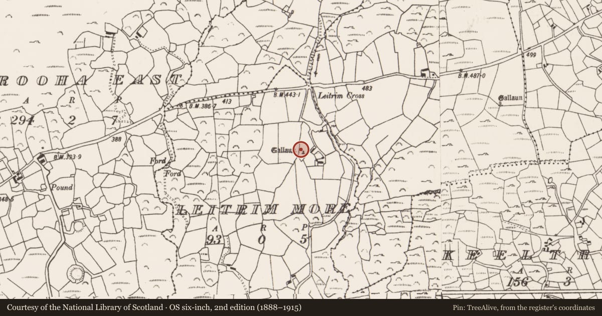 Ordnance Survey six-inch map, 2nd edition (1888–1915) covering the location of Standing stone, Leitrim More, County Cork, with a pin at the register's coordinates
