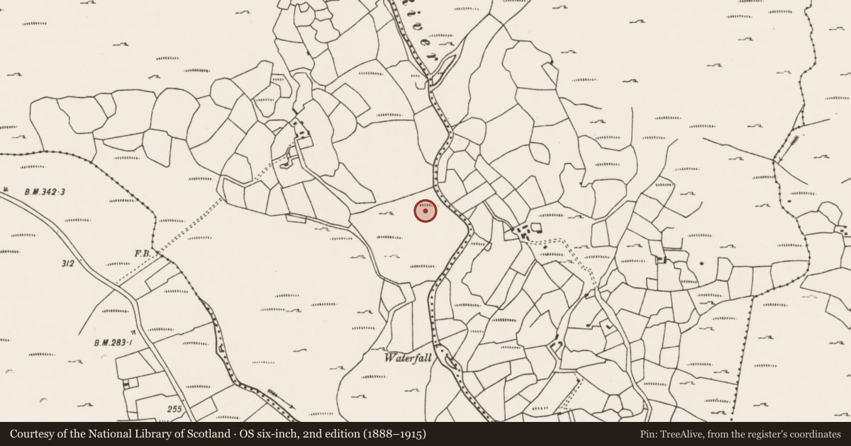 Ordnance Survey six-inch map, 2nd edition (1888–1915) covering the location of Standing stone - pair, Clashduff, County Cork, with a pin at the register's coordinates