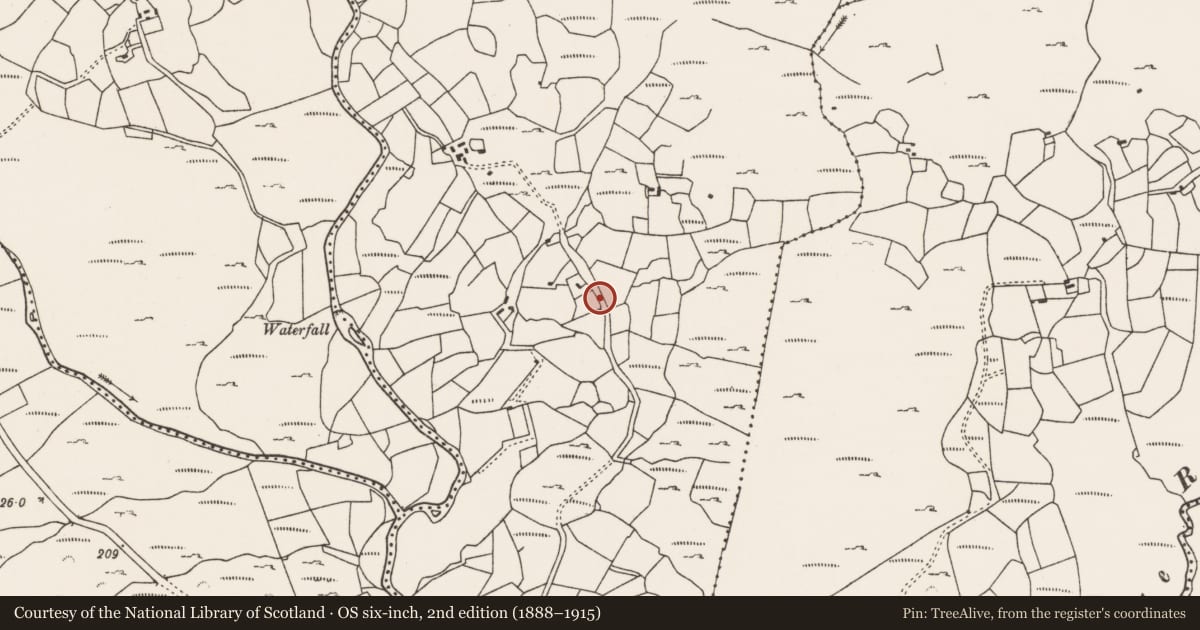 Ordnance Survey six-inch map, 2nd edition (1888–1915) covering the location of Burnt mound, Kilcaskan, County Cork, with a pin at the register's coordinates