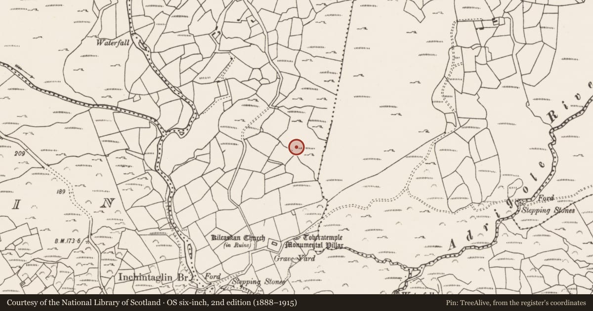 Ordnance Survey six-inch map, 2nd edition (1888–1915) covering the location of Field boundary, Kilcaskan, County Cork, with a pin at the register's coordinates