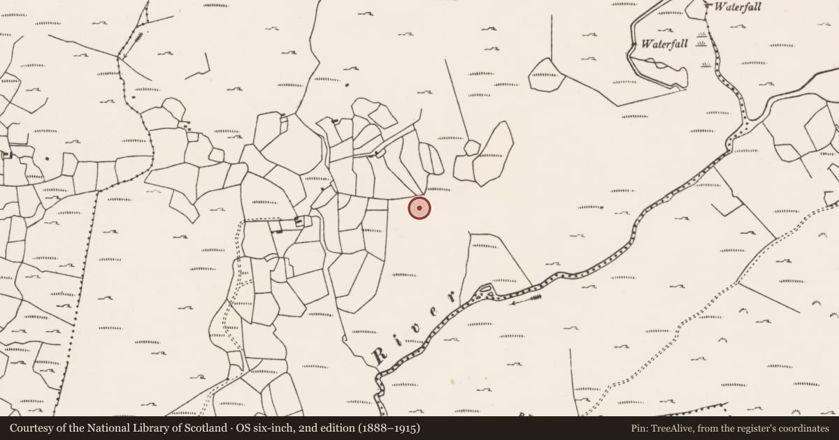 Ordnance Survey six-inch map, 2nd edition (1888–1915) covering the location of Field boundary, Canshanavoe, County Cork, with a pin at the register's coordinates