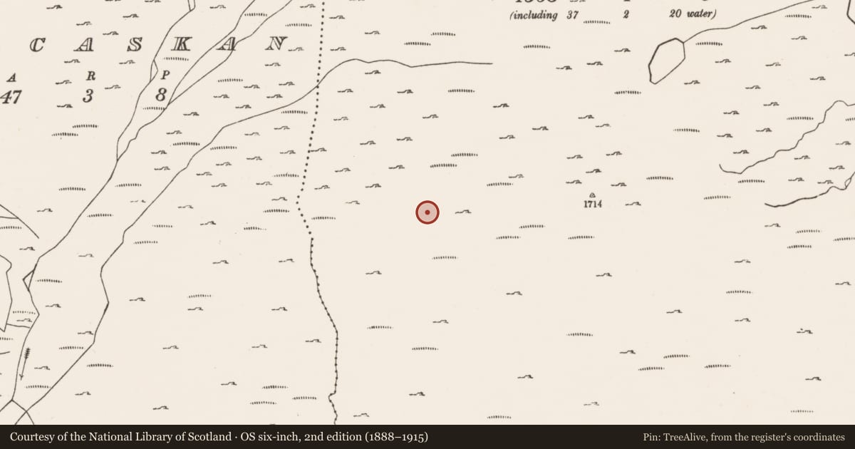 Ordnance Survey six-inch map, 2nd edition (1888–1915) covering the location of Hut site, Canshanavoe, County Cork, with a pin at the register's coordinates