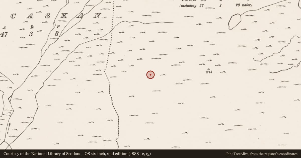 Ordnance Survey six-inch map, 2nd edition (1888–1915) covering the location of Hut site, Canshanavoe, County Cork, with a pin at the register's coordinates