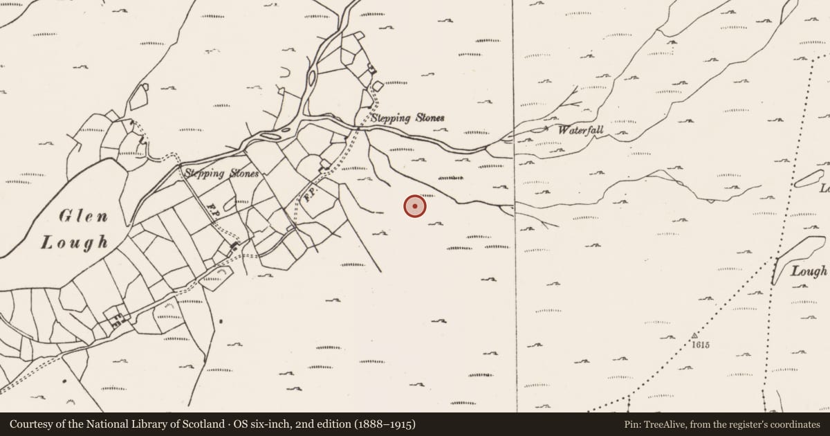 Ordnance Survey six-inch map, 2nd edition (1888–1915) covering the location of Hut site, Glenlough, County Cork, with a pin at the register's coordinates
