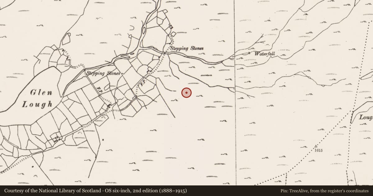 Ordnance Survey six-inch map, 2nd edition (1888–1915) covering the location of Hut site, Glenlough, County Cork, with a pin at the register's coordinates
