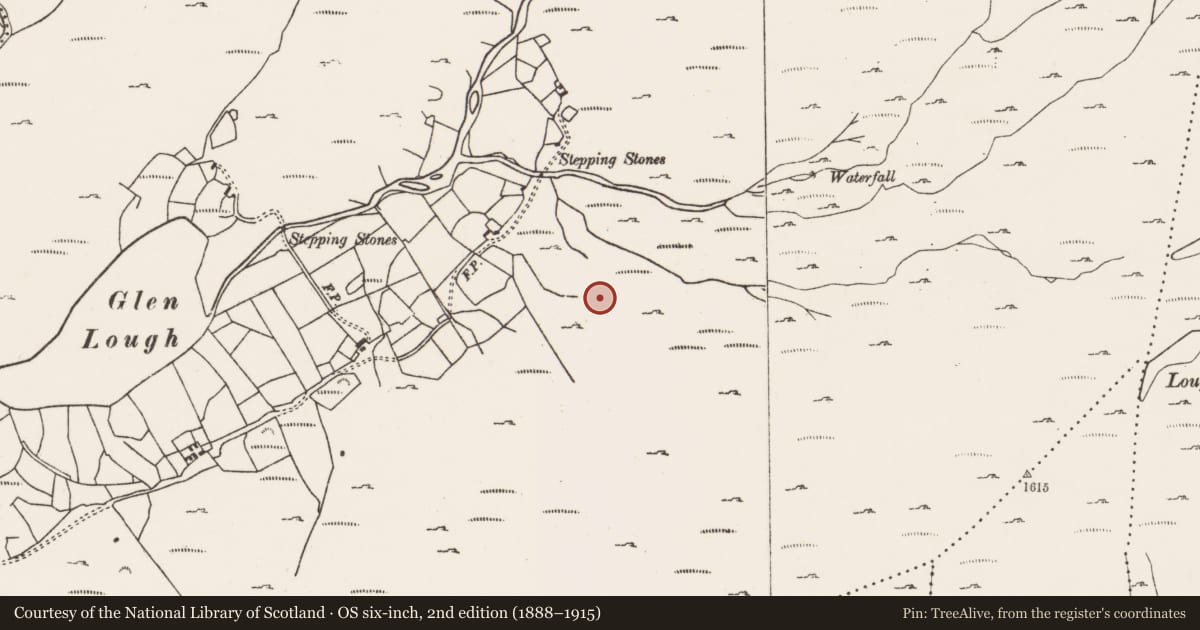 Ordnance Survey six-inch map, 2nd edition (1888–1915) covering the location of Hut site, Glenlough, County Cork, with a pin at the register's coordinates