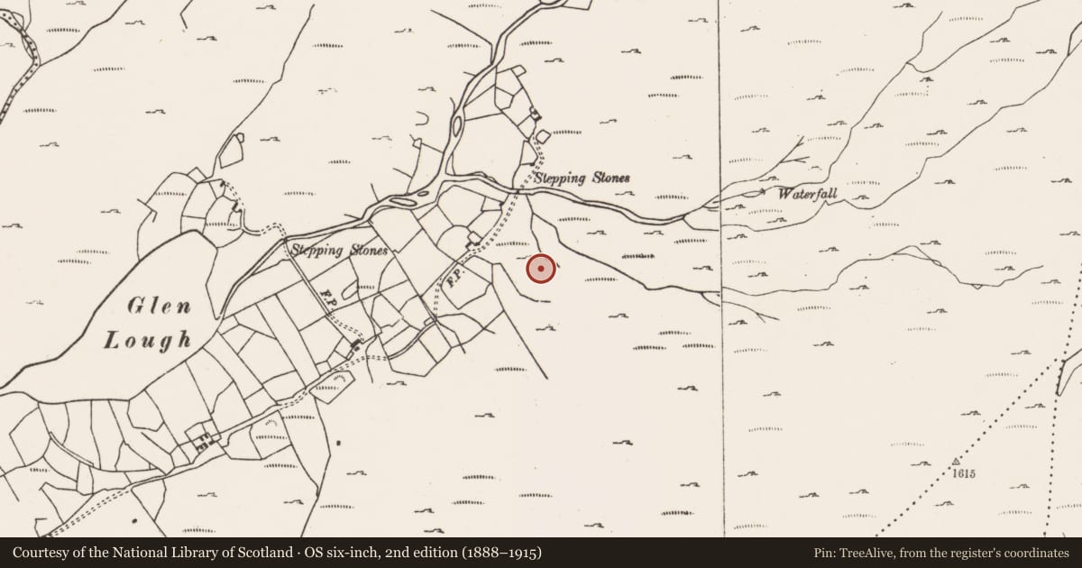 Ordnance Survey six-inch map, 2nd edition (1888–1915) covering the location of Hut site, Glenlough, County Cork, with a pin at the register's coordinates