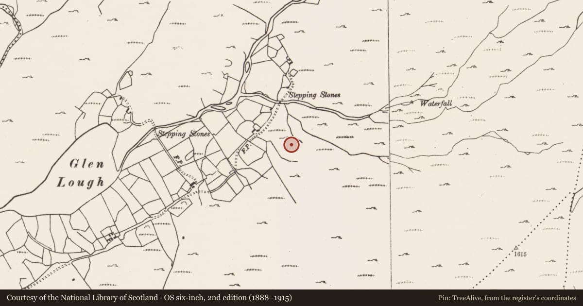 Ordnance Survey six-inch map, 2nd edition (1888–1915) covering the location of Souterrain, Glenlough, County Cork, with a pin at the register's coordinates