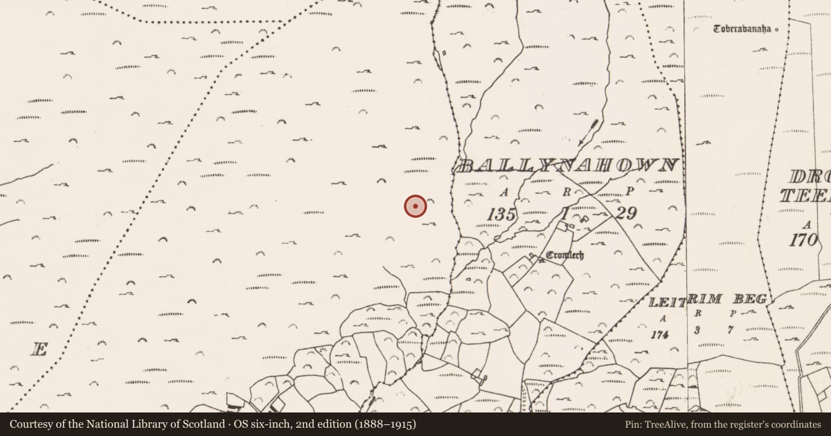 Ordnance Survey six-inch map, 2nd edition (1888–1915) covering the location of Field boundary, Crooha East, County Cork, with a pin at the register's coordinates