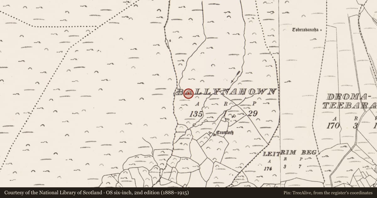 Ordnance Survey six-inch map, 2nd edition (1888–1915) covering the location of Fulacht fia, Ballynahown, County Cork, with a pin at the register's coordinates