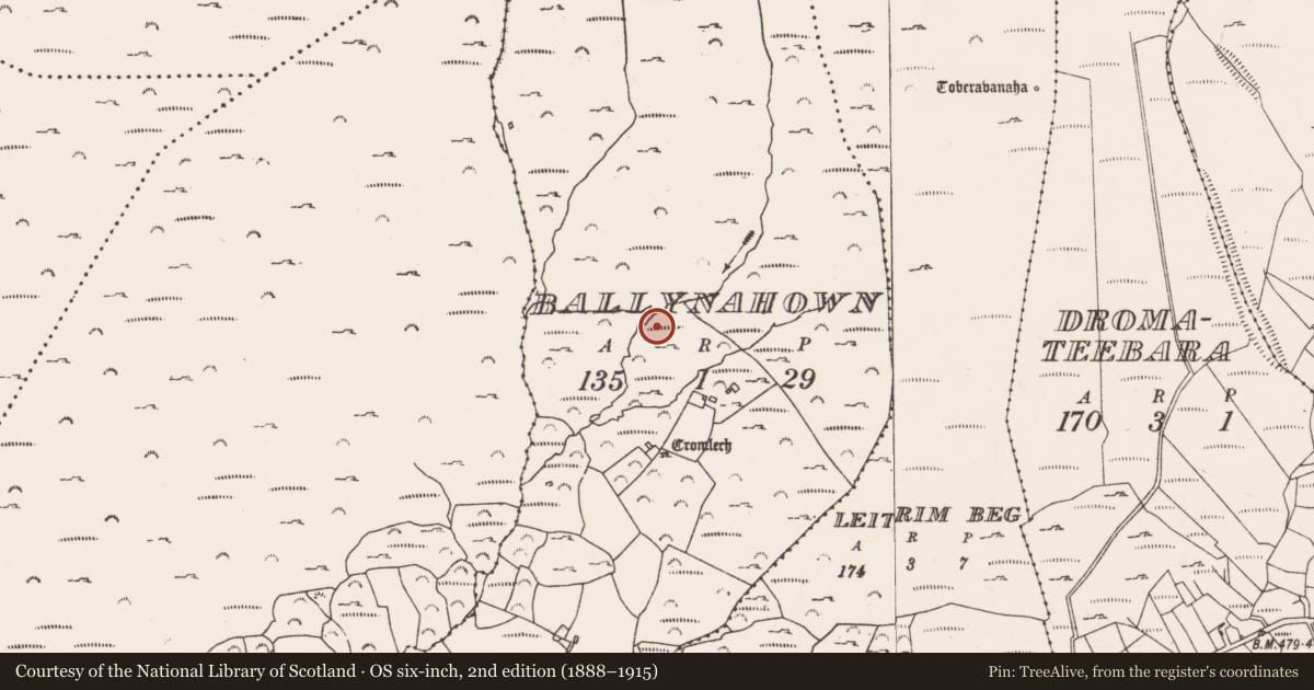 Ordnance Survey six-inch map, 2nd edition (1888–1915) covering the location of Enclosure, Ballynahown, County Cork, with a pin at the register's coordinates