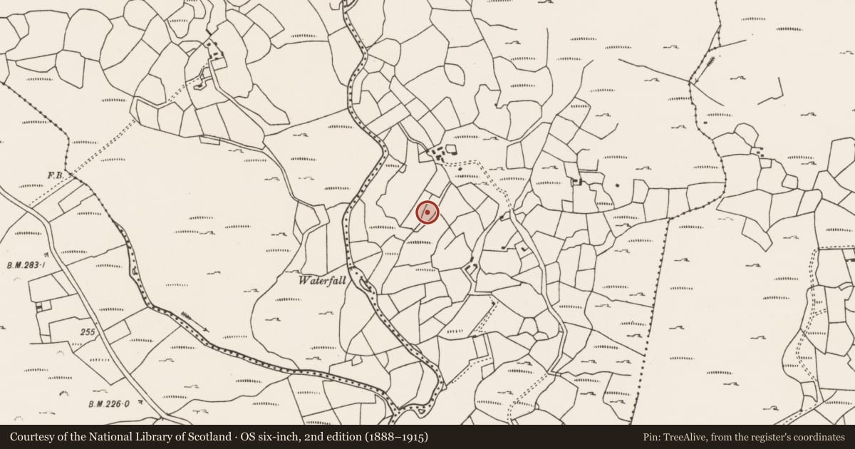 Ordnance Survey six-inch map, 2nd edition (1888–1915) covering the location of Standing stone - pair, Kilcaskan, County Cork, with a pin at the register's coordinates