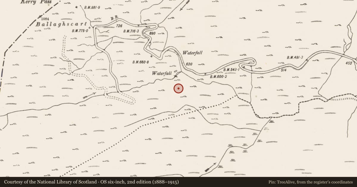 Ordnance Survey six-inch map, 2nd edition (1888–1915) covering the location of Hut site, Clashduff, County Cork, with a pin at the register's coordinates