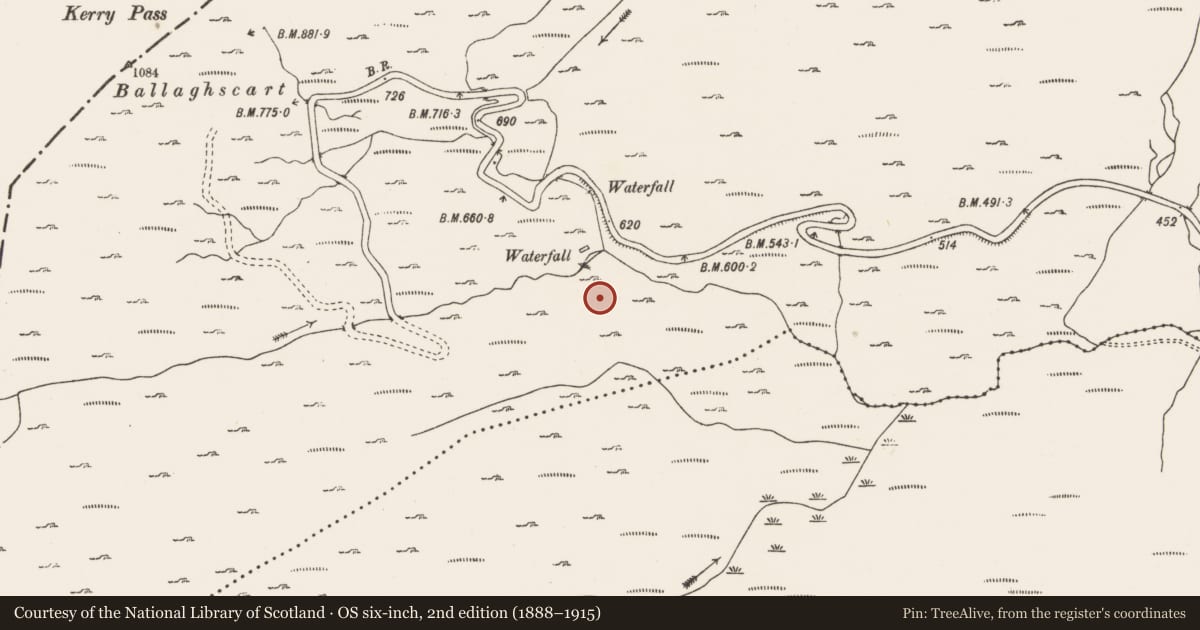 Ordnance Survey six-inch map, 2nd edition (1888–1915) covering the location of Enclosure, Clashduff, County Cork, with a pin at the register's coordinates