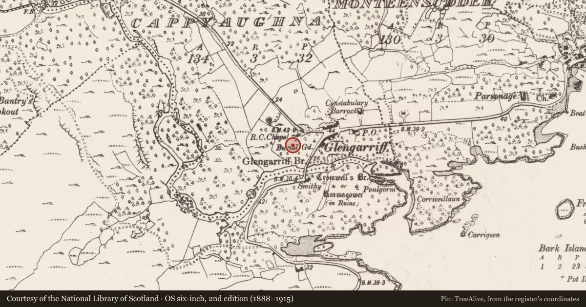 Ordnance Survey six-inch map, 2nd edition (1888–1915) covering the location of Graveyard, Cappyaughna, County Cork, with a pin at the register's coordinates