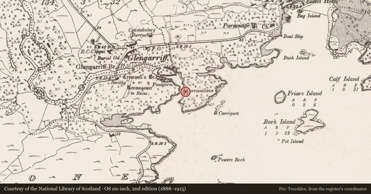 Ordnance Survey six-inch map, 2nd edition (1888–1915) covering the location of Midden, Monteensudder, County Cork, with a pin at the register's coordinates